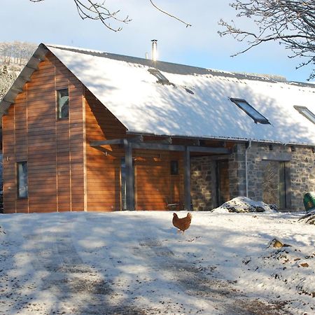 לינה וארוחת בוקר אברפלדי The Steading מראה חיצוני תמונה